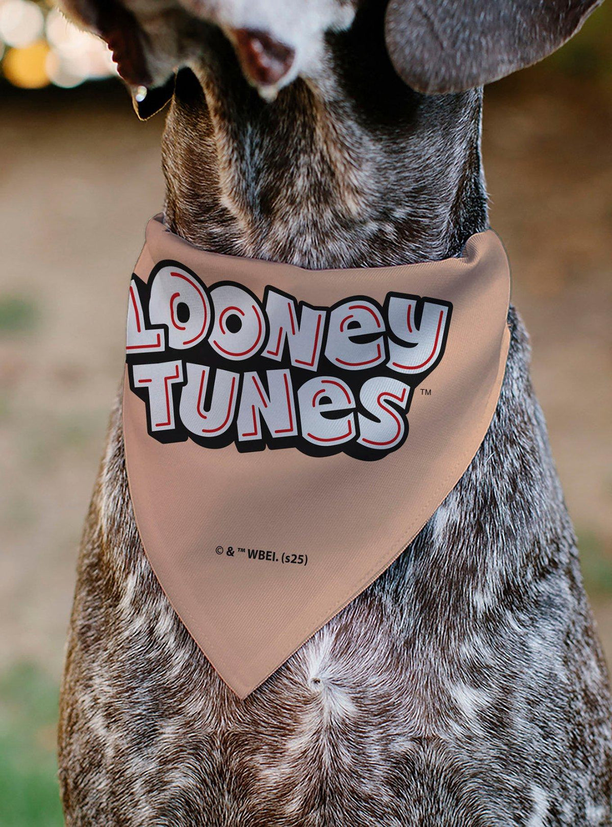 Bandana para mascota de Porky Pig | Looney Tunes