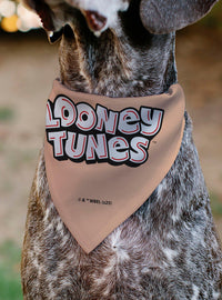 Bandana para mascota de Porky Pig | Looney Tunes