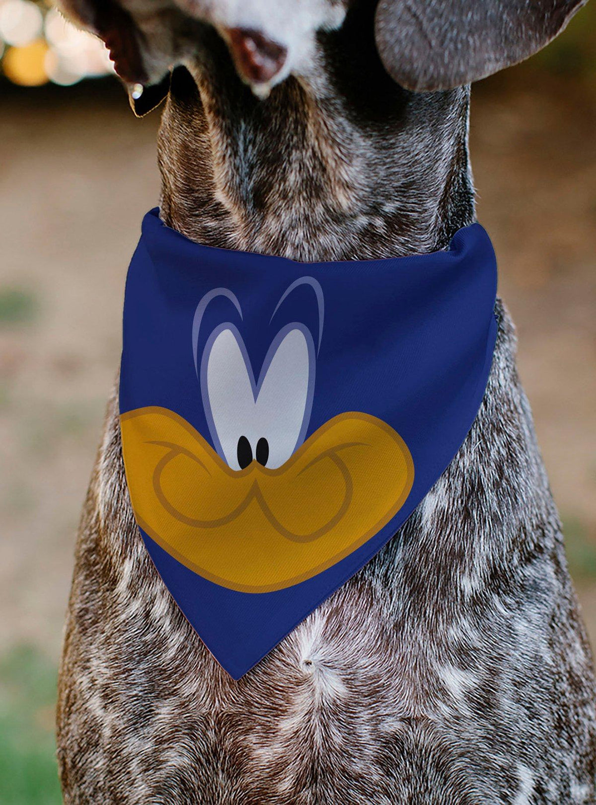 Bandana para mascota Looney Tunes Road Runner