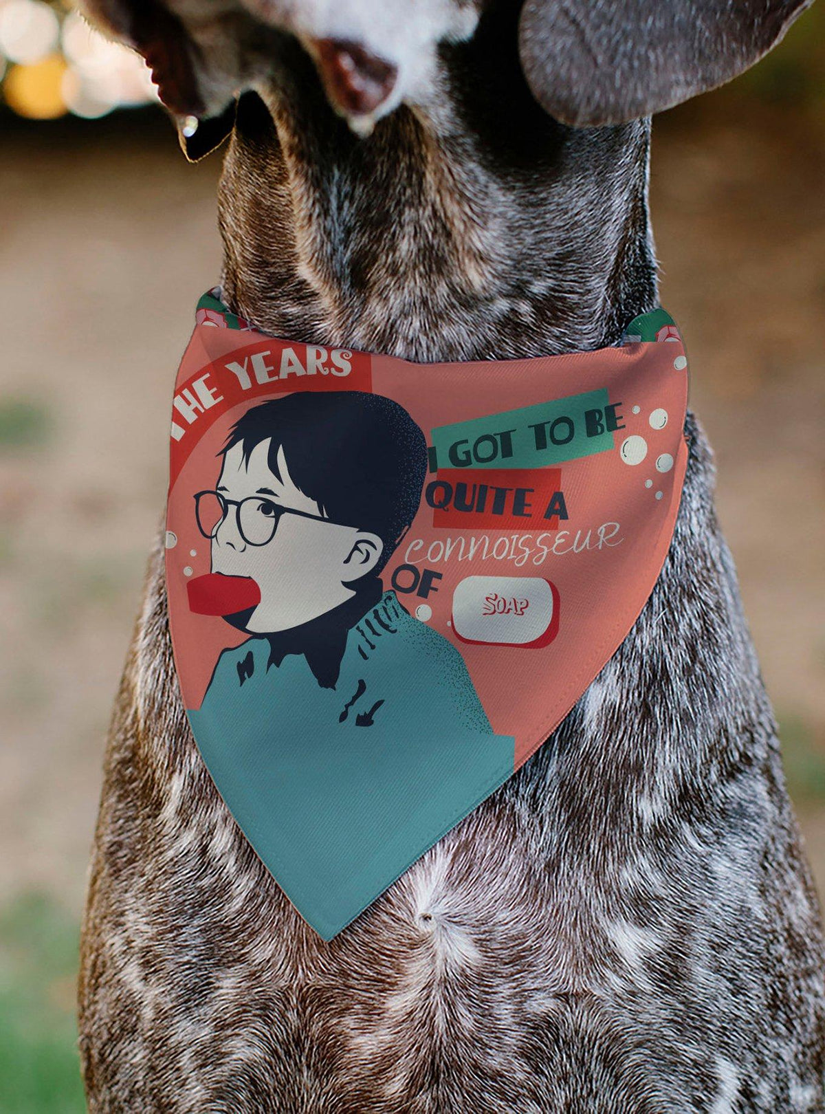 Bandana para mascota A Christmas Story