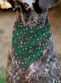 Bandana para mascota A Christmas Story