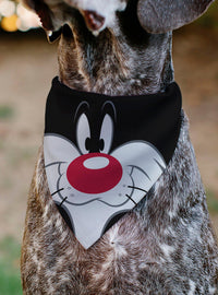 Bandana para mascota Looney Tunes Silvestre