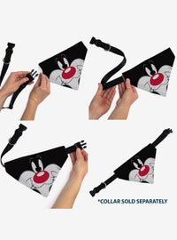 Bandana para mascota Looney Tunes Silvestre