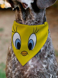Bandana para mascota Looney Tunes Tweety Bird