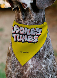 Bandana para mascota Looney Tunes Tweety Bird