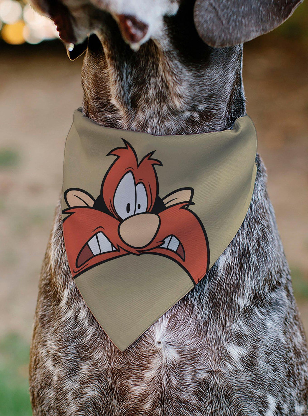 Bandana para mascota Looney Tunes Yosemite Sam