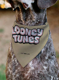Bandana para mascota Looney Tunes Yosemite Sam