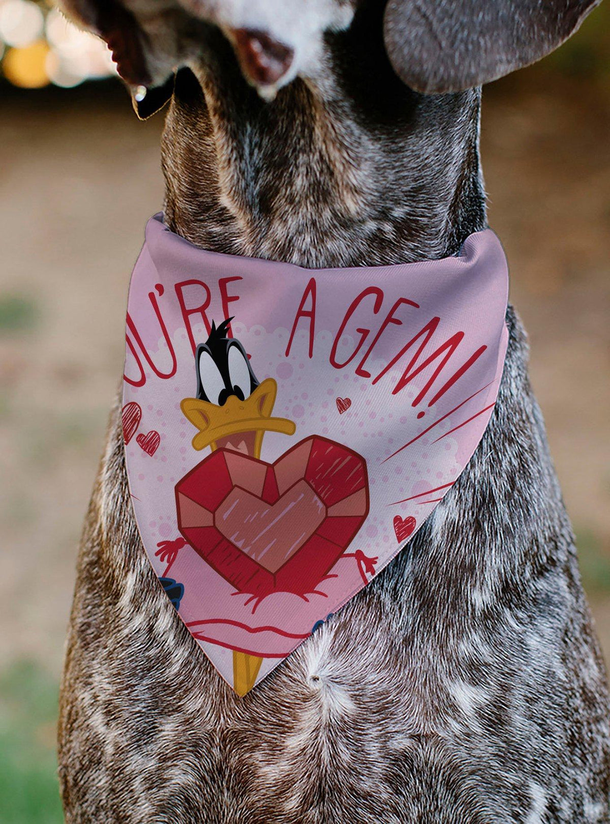 Bandana para mascota Looney Tunes de Daffy Duck
