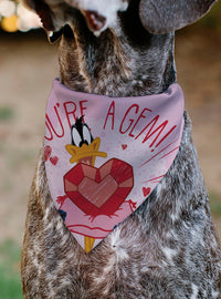 Bandana para mascota Looney Tunes de Daffy Duck