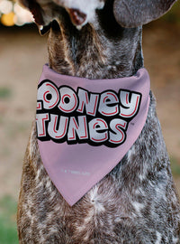 Bandana para mascota Looney Tunes de Daffy Duck