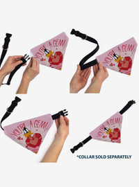 Bandana para mascota Looney Tunes de Daffy Duck