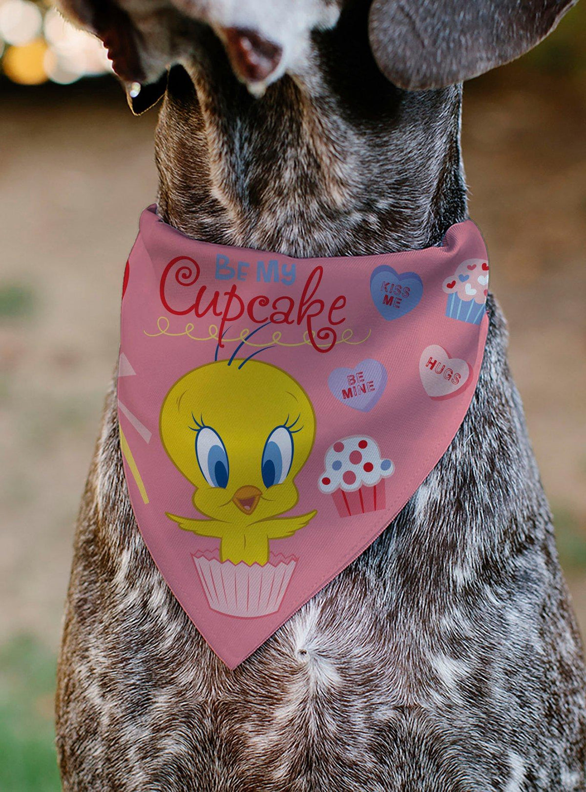 Bandana para mascota Tweety Bird Be My Cupcake