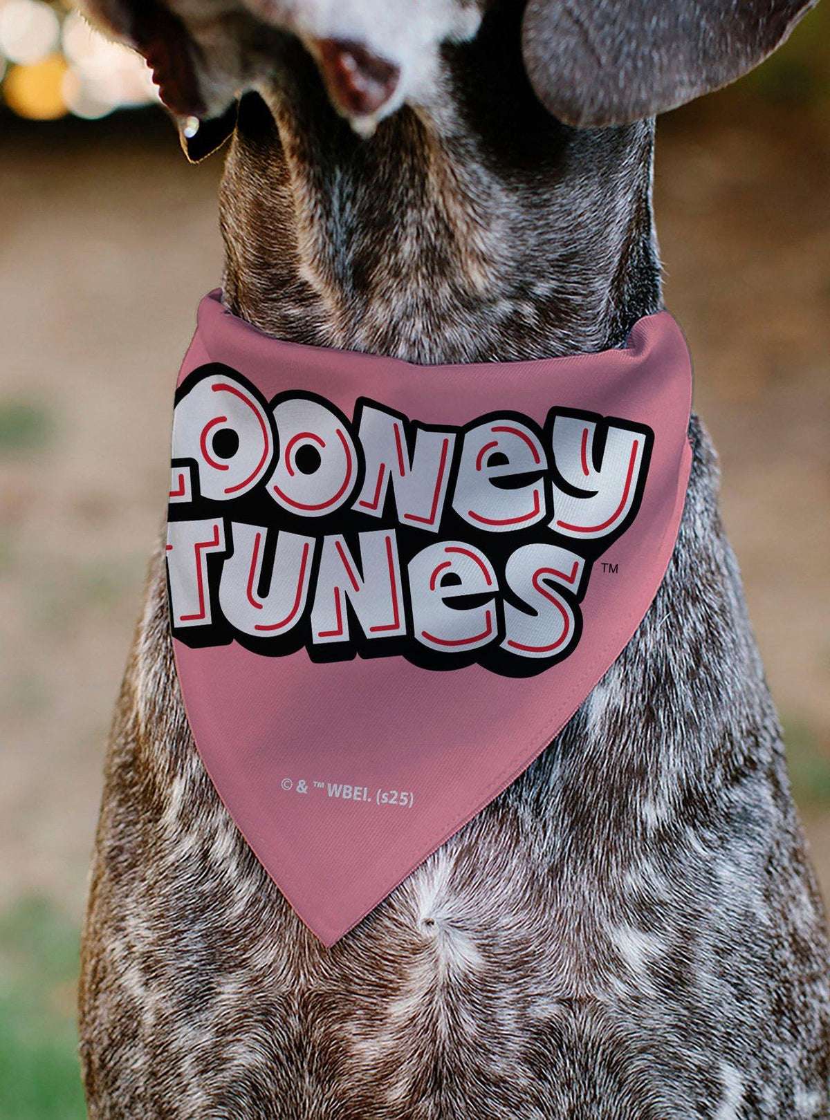 Bandana para mascota Tweety Bird Be My Cupcake
