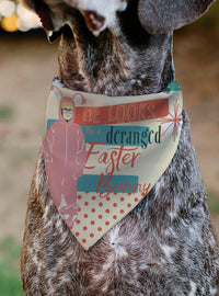 Bandana para mascota A Christmas Story con Ralphie