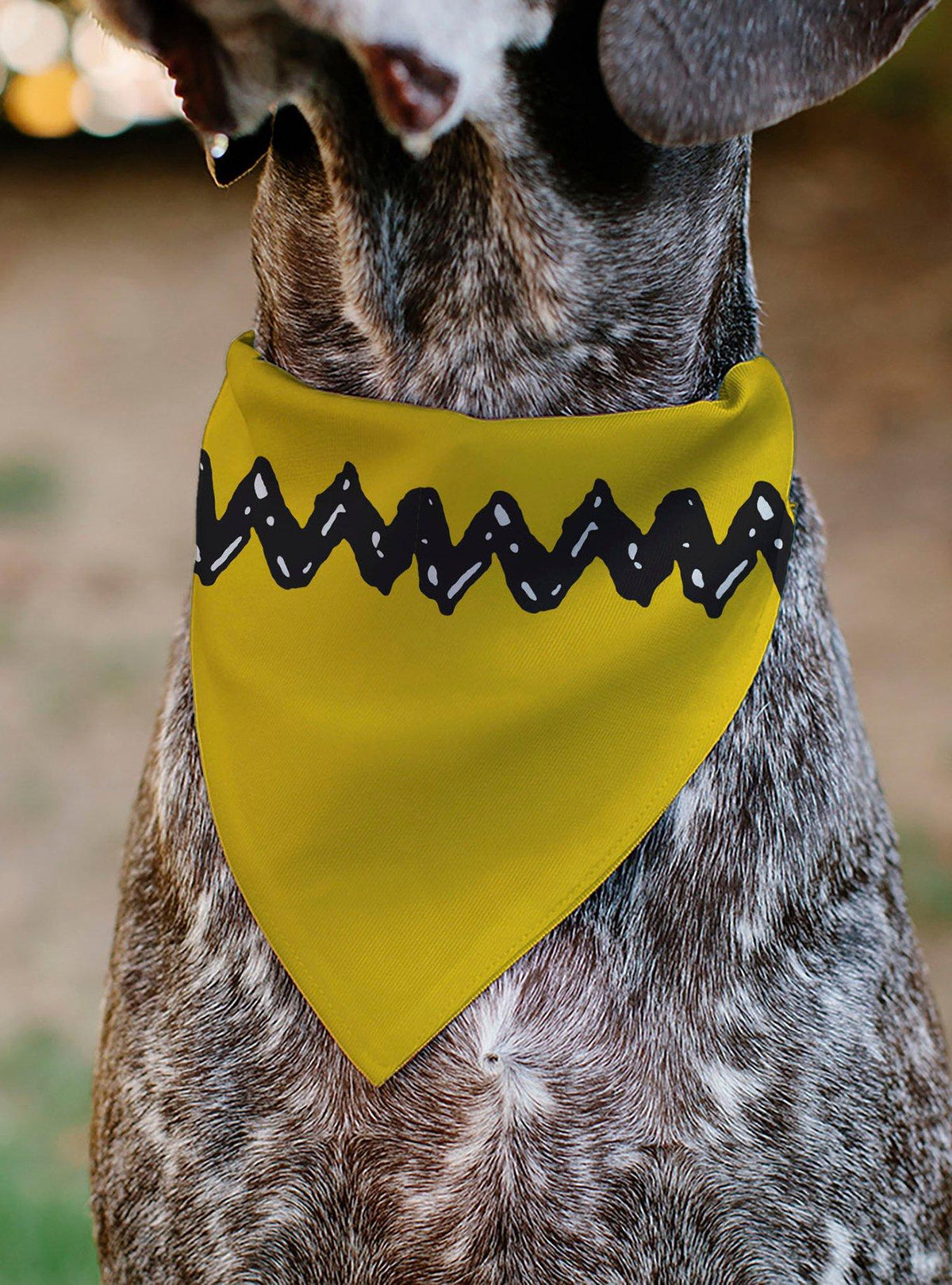 Bandana para perro Peanuts 75.º aniversario Charlie Brown