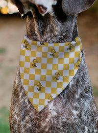 Bandana deslizante para collar Peanuts Woodstock