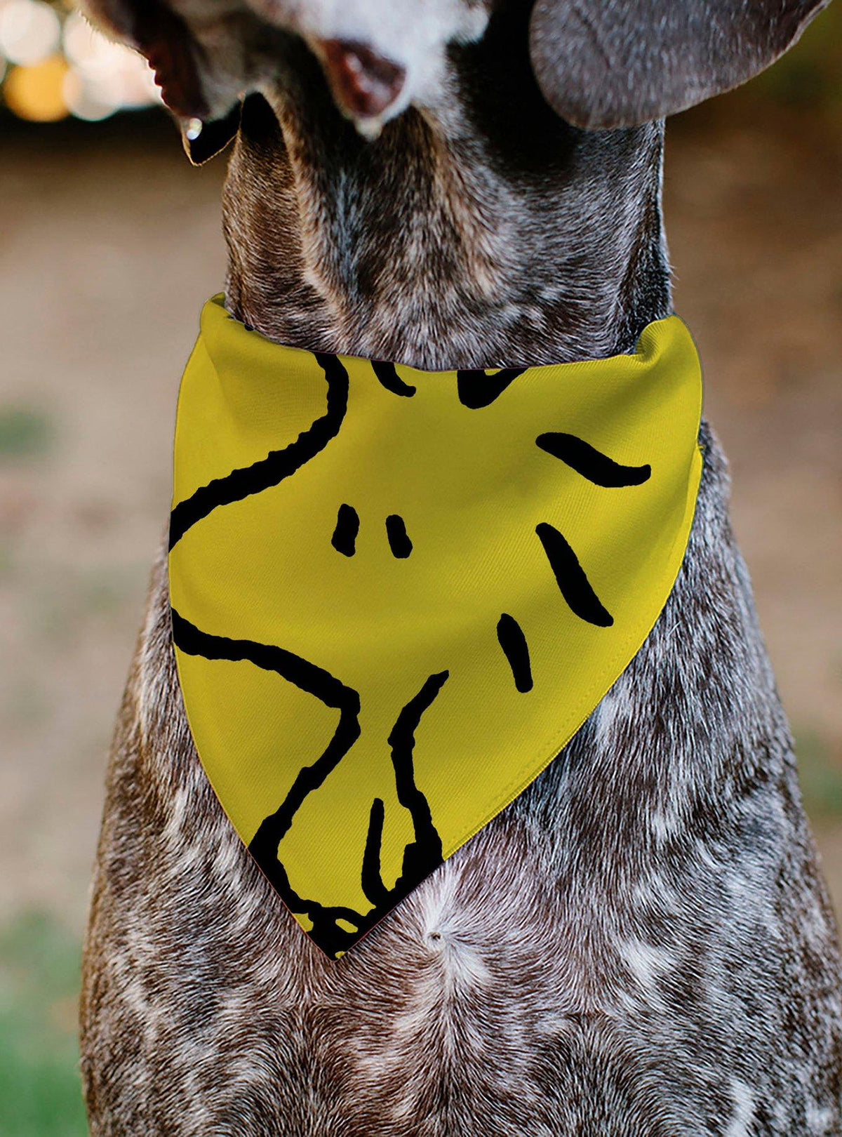 Bandana para mascota Woodstock de Peanuts