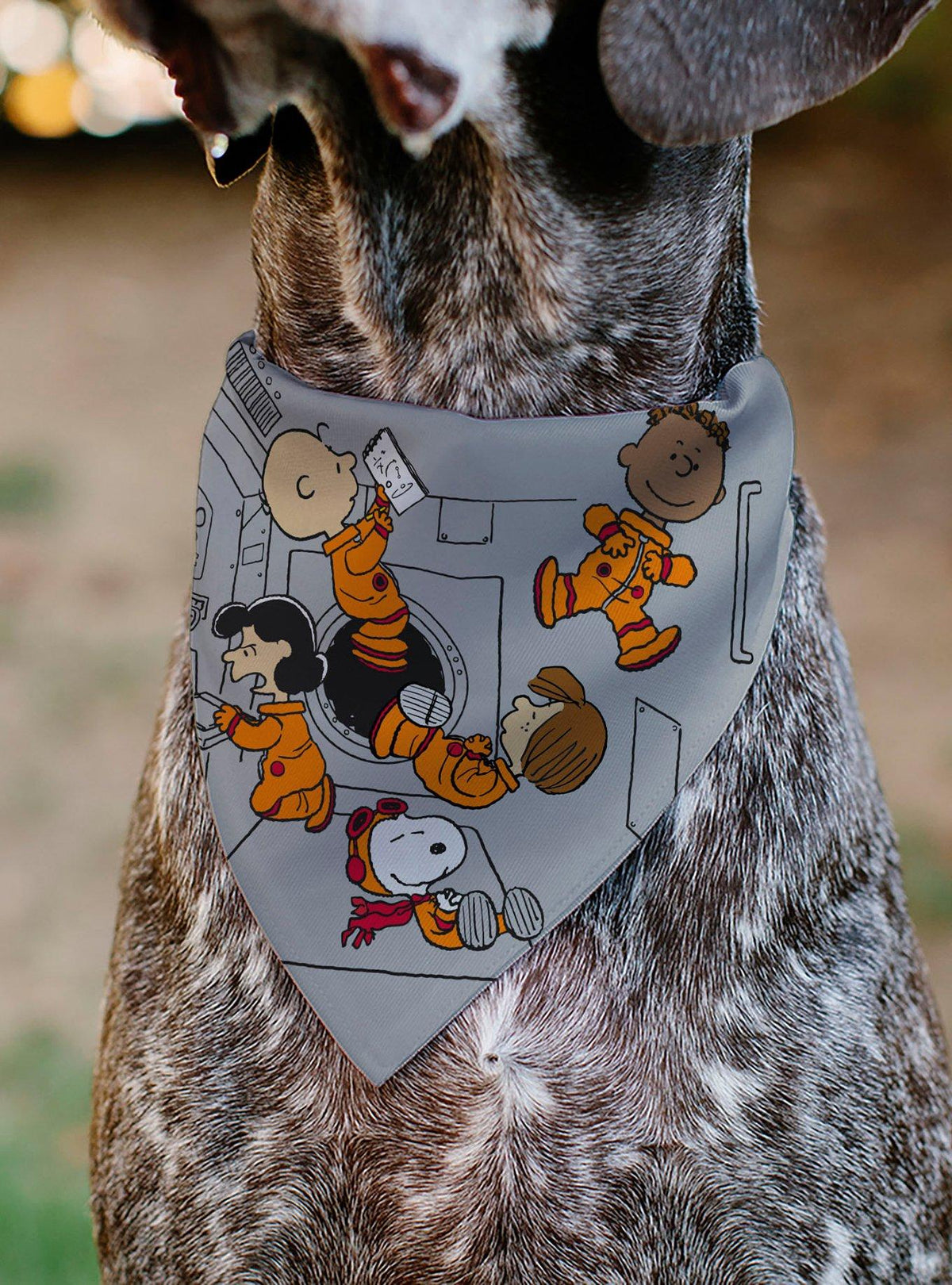 Bandana para mascota Peanuts: astronautas flotantes