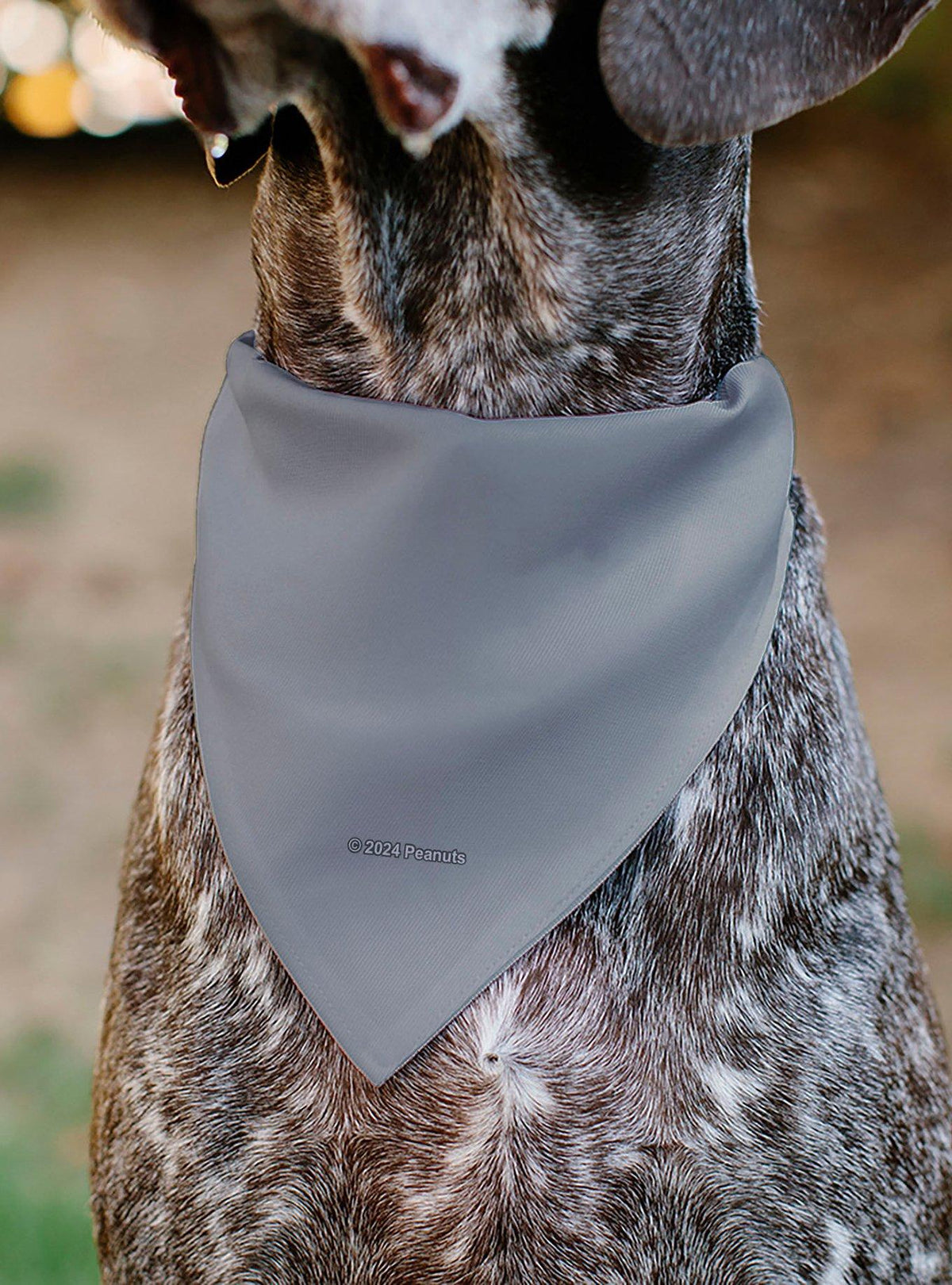 Bandana para mascota Peanuts: astronautas flotantes