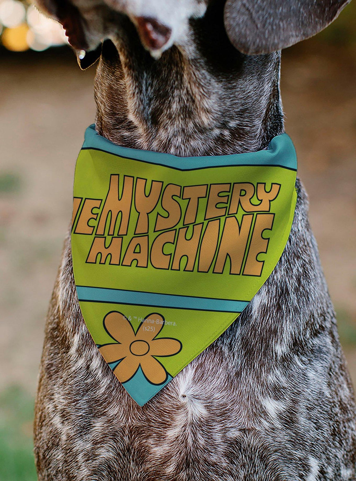 Bandana para mascota Scooby-Doo: logo de la Máquina del Misterio