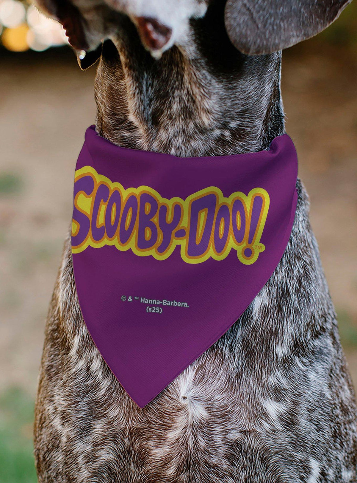 Bandana deslizante para mascota de Scooby-Doo y Shaggy