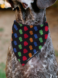 Bandana para collar Kyle de South Park (solo bandana)