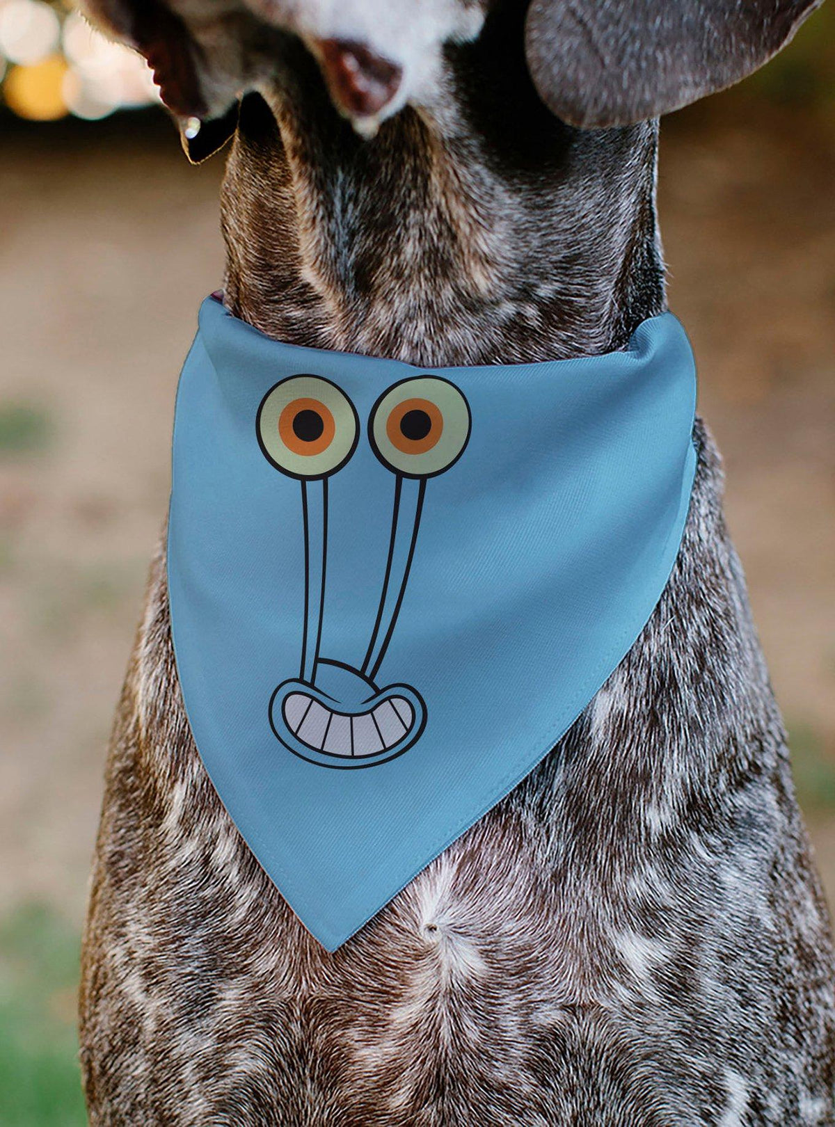 Bandana para mascota de Gary el Caracol - SpongeBob SquarePants