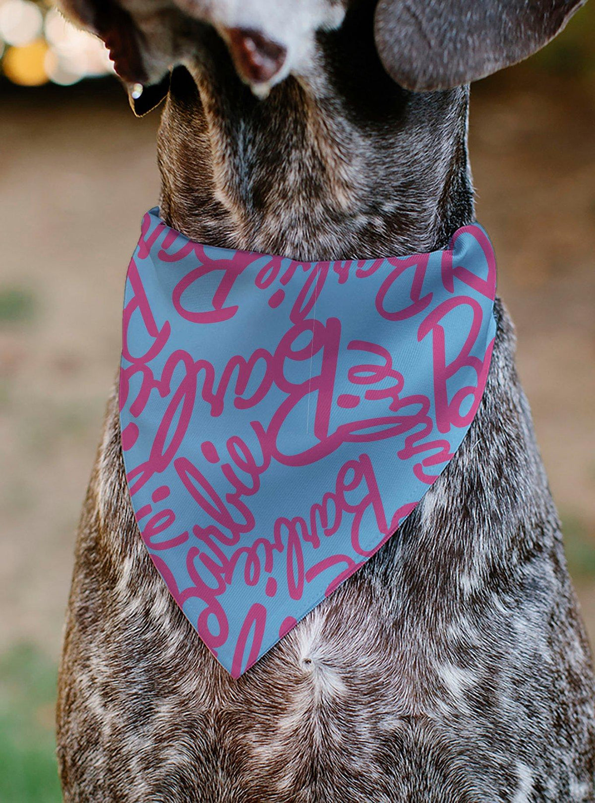 Barbie - Bandana para mascota con diseño de autógrafos