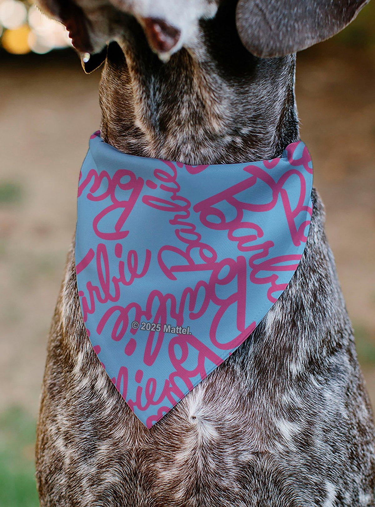 Barbie - Bandana para mascota con diseño de autógrafos