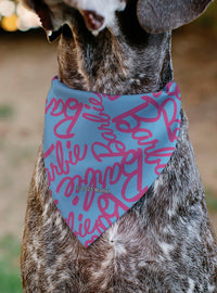 Barbie - Bandana para mascota con diseño de autógrafos