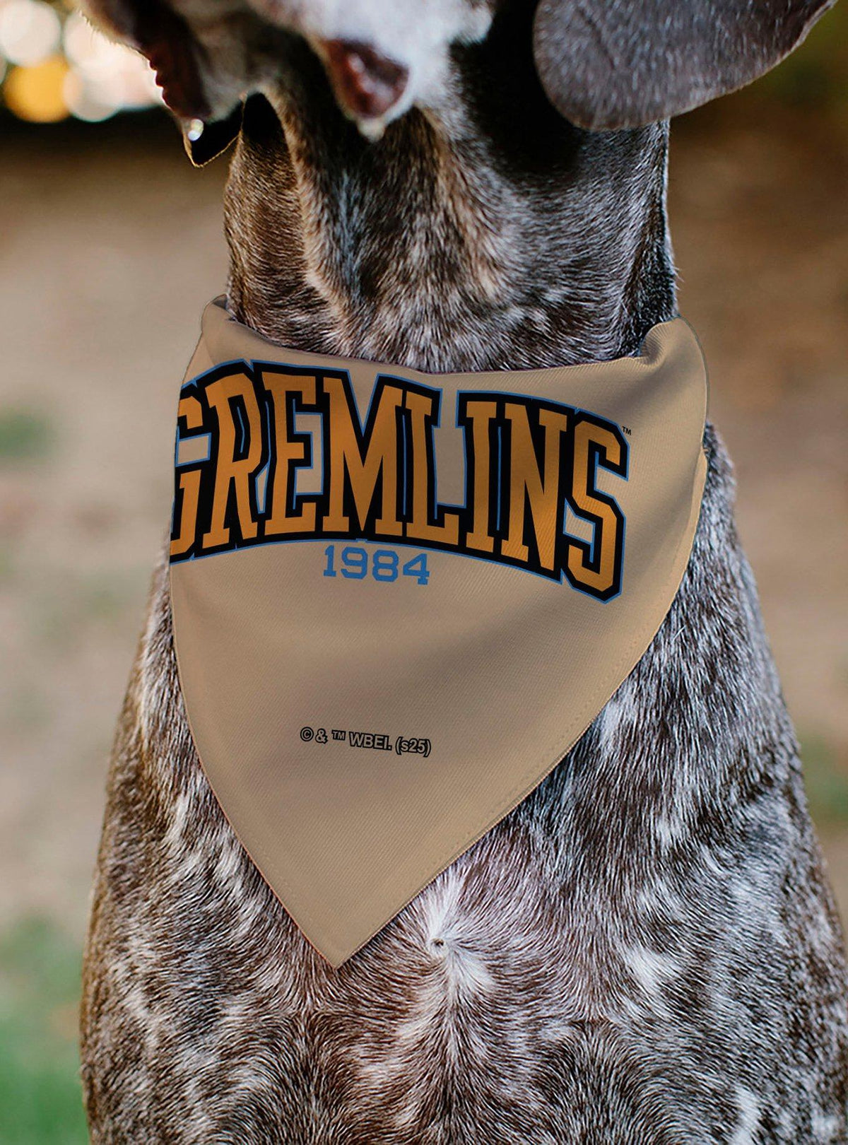 Bandana para mascota Gremlins: rostro de Gizmo y diseño varsity
