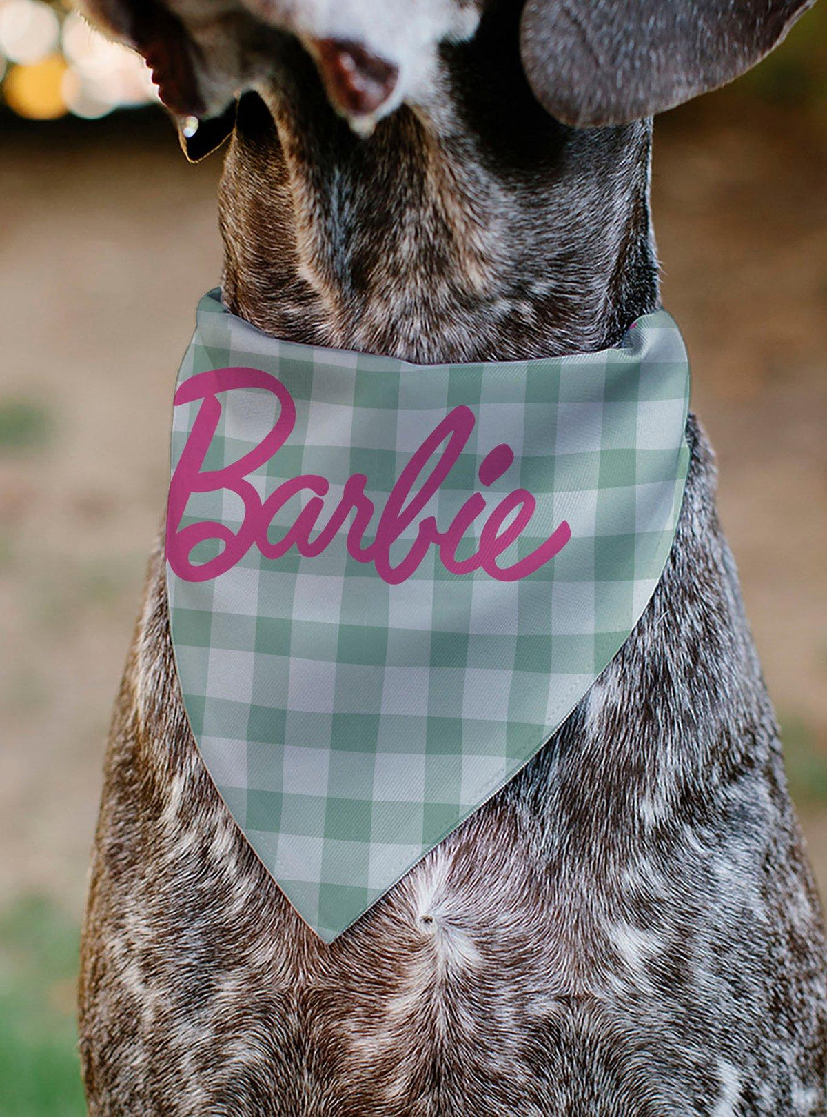Bandana beige a cuadros para mascotas Barbie
