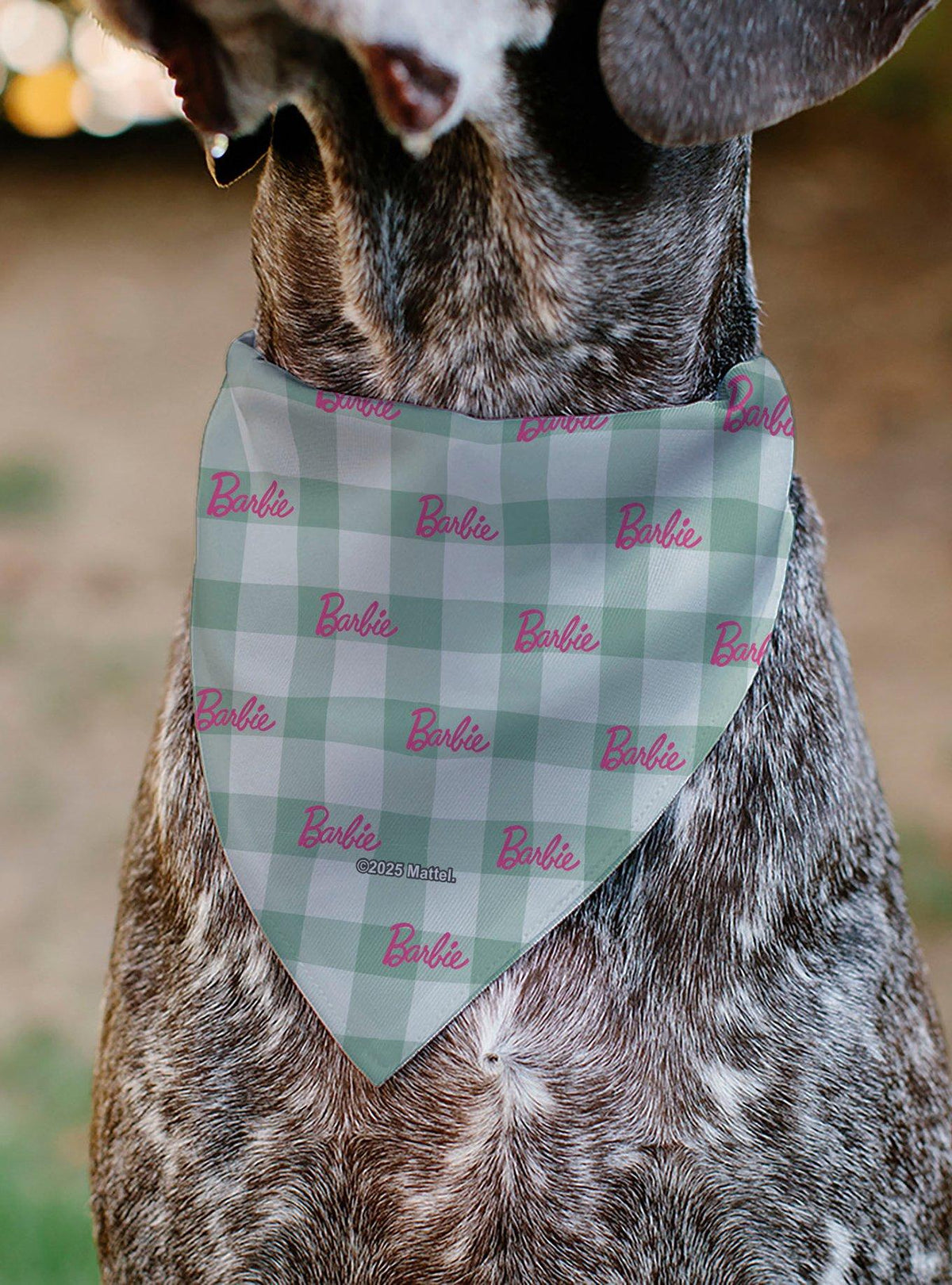 Bandana beige a cuadros para mascotas Barbie
