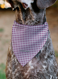 Bandana a cuadros para mascota Barbie