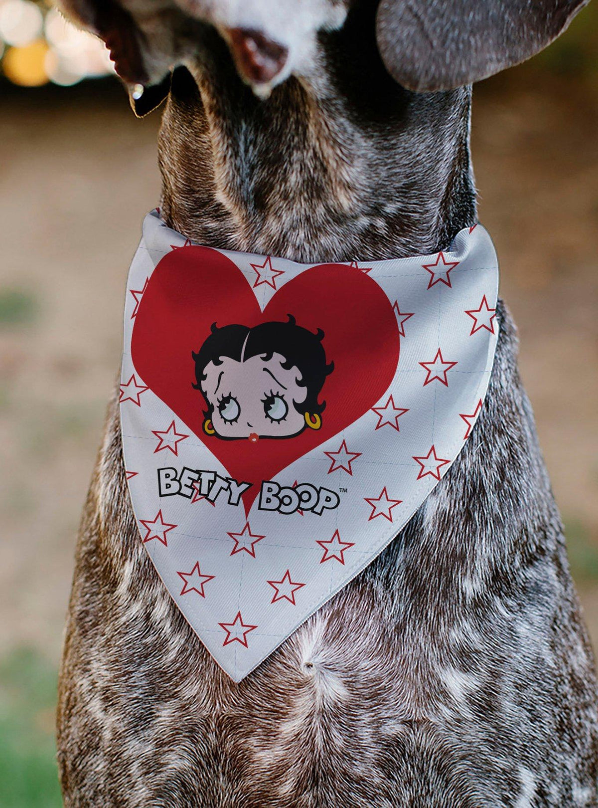 Bandana roja para mascota Betty Boop con corazón y estrellas