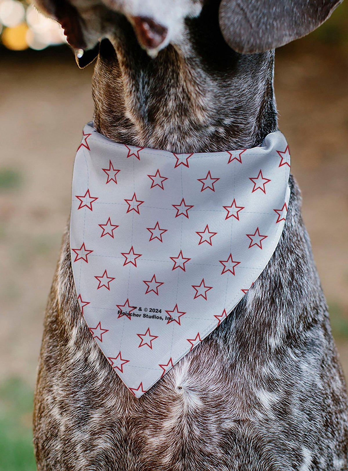 Bandana roja para mascota Betty Boop con corazón y estrellas