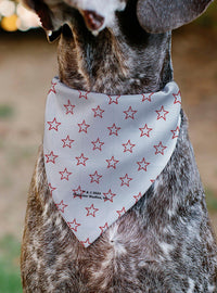 Bandana roja para mascota Betty Boop con corazón y estrellas