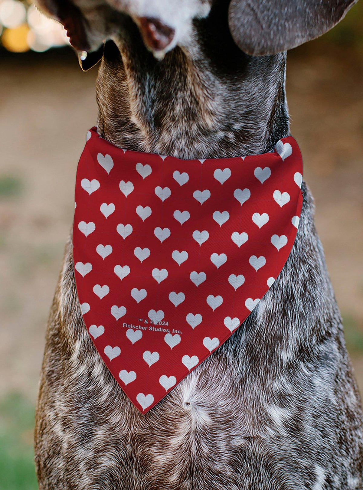 Bandana blanca para mascota Betty Boop