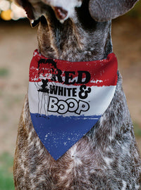 Bandana para mascota Betty Boop a rayas