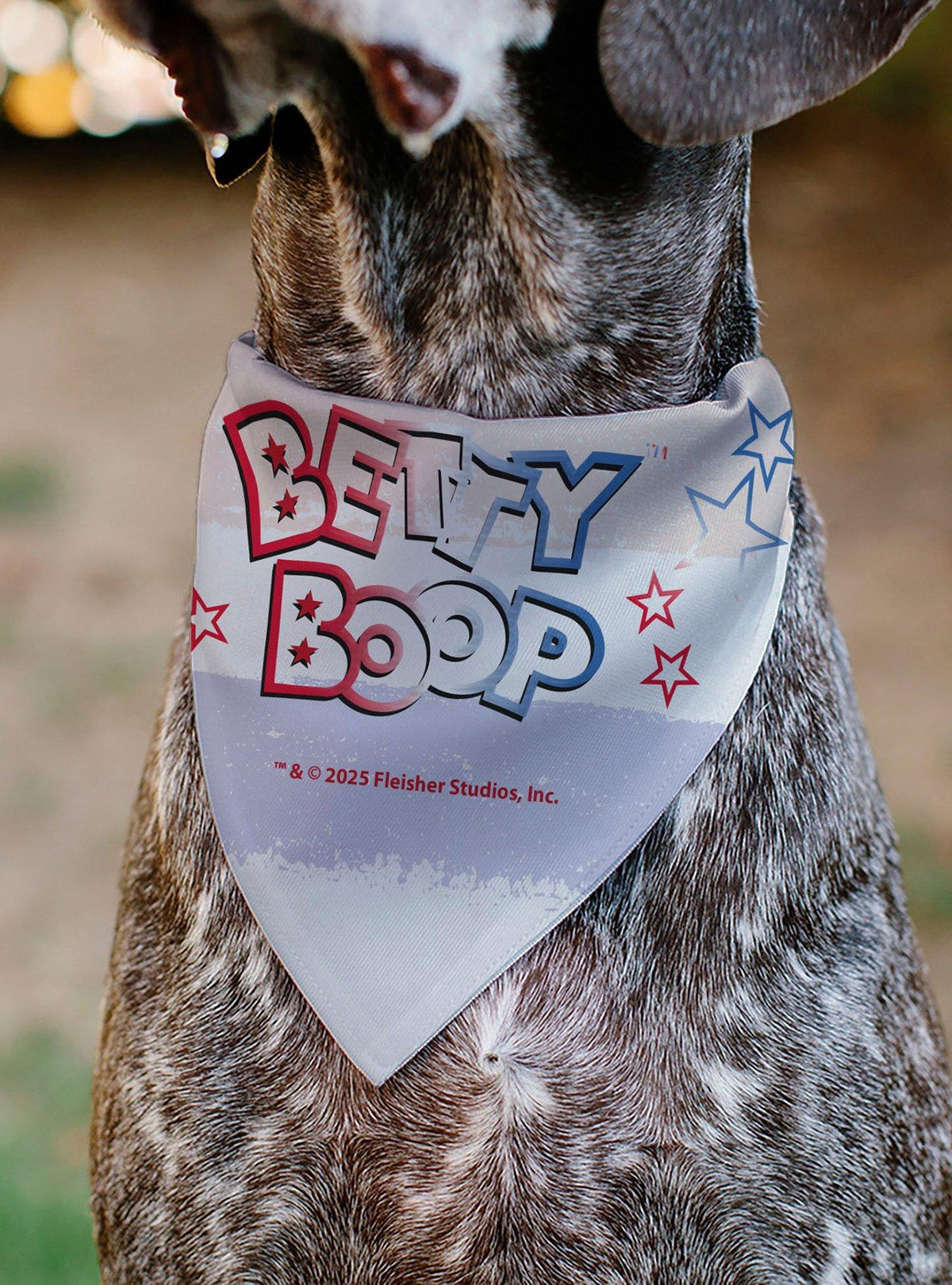 Bandana para mascota Betty Boop en pose de patada