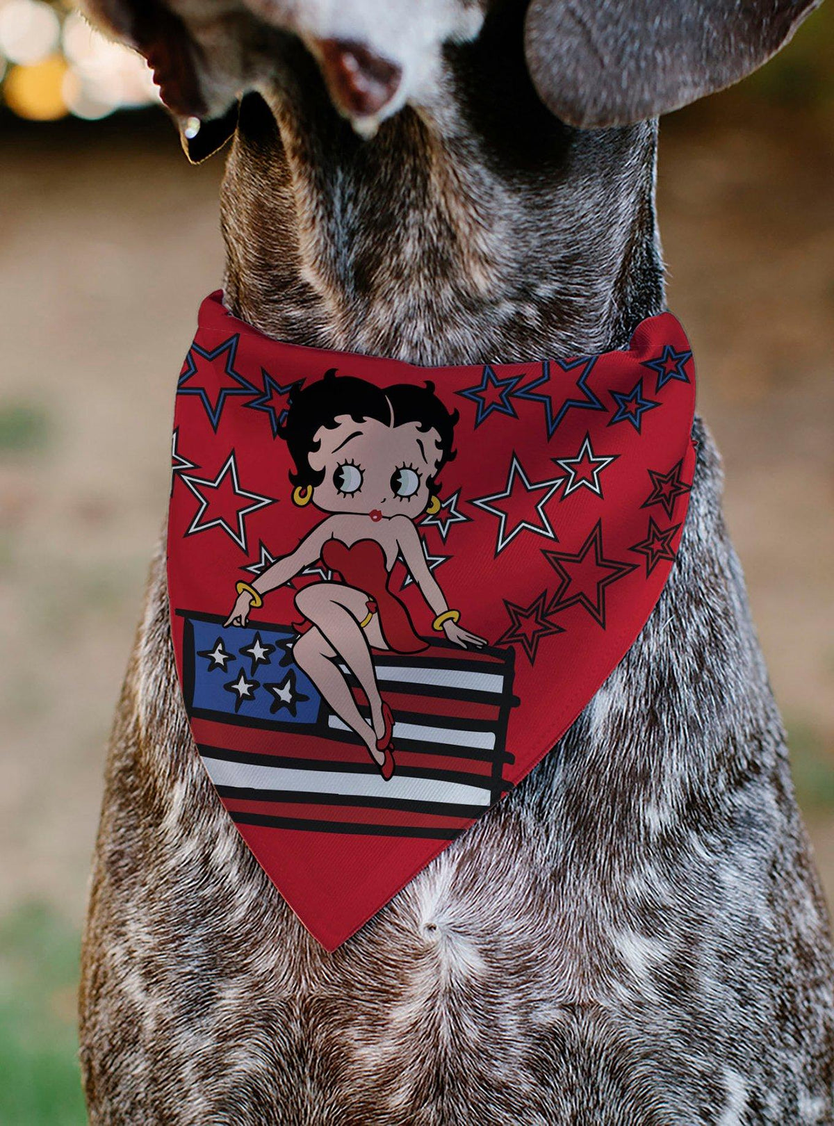 Bandana para collar de mascota Betty Boop: estrellas y franjas