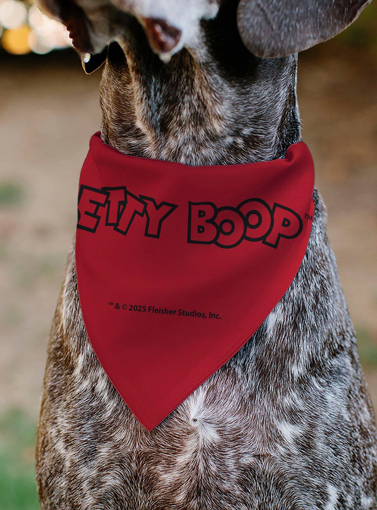 Bandana para collar de mascota Betty Boop: estrellas y franjas