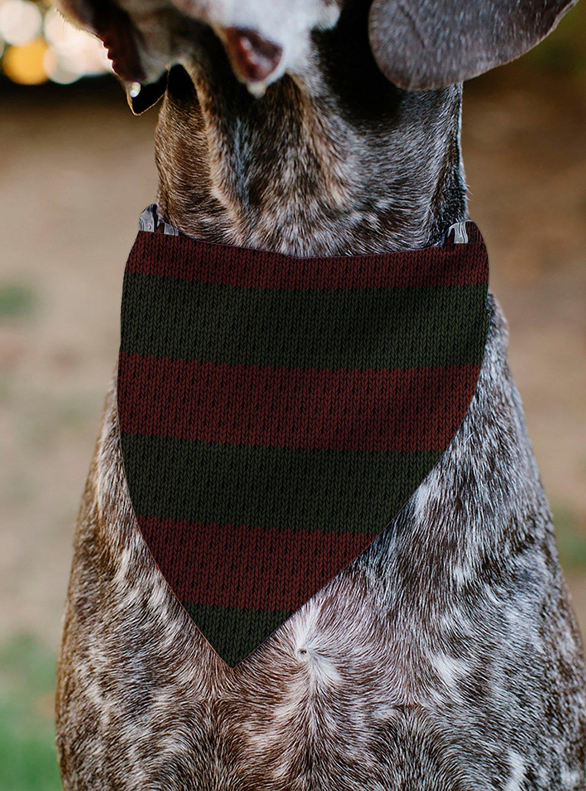 Bandana negra de Freddy para mascota - A Nightmare on Elm Street