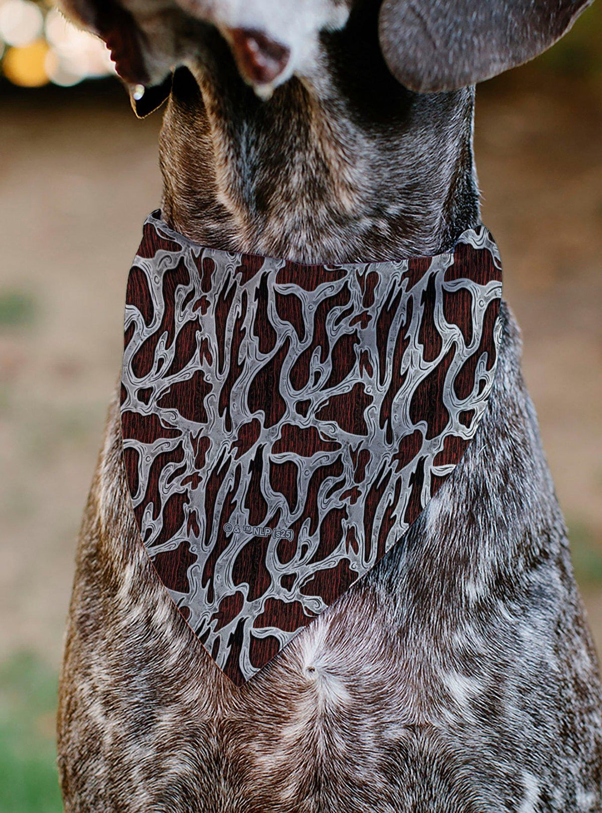 Bandana negra de Freddy para mascota - A Nightmare on Elm Street
