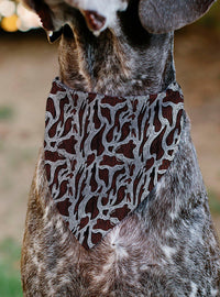Bandana negra de Freddy para mascota - A Nightmare on Elm Street