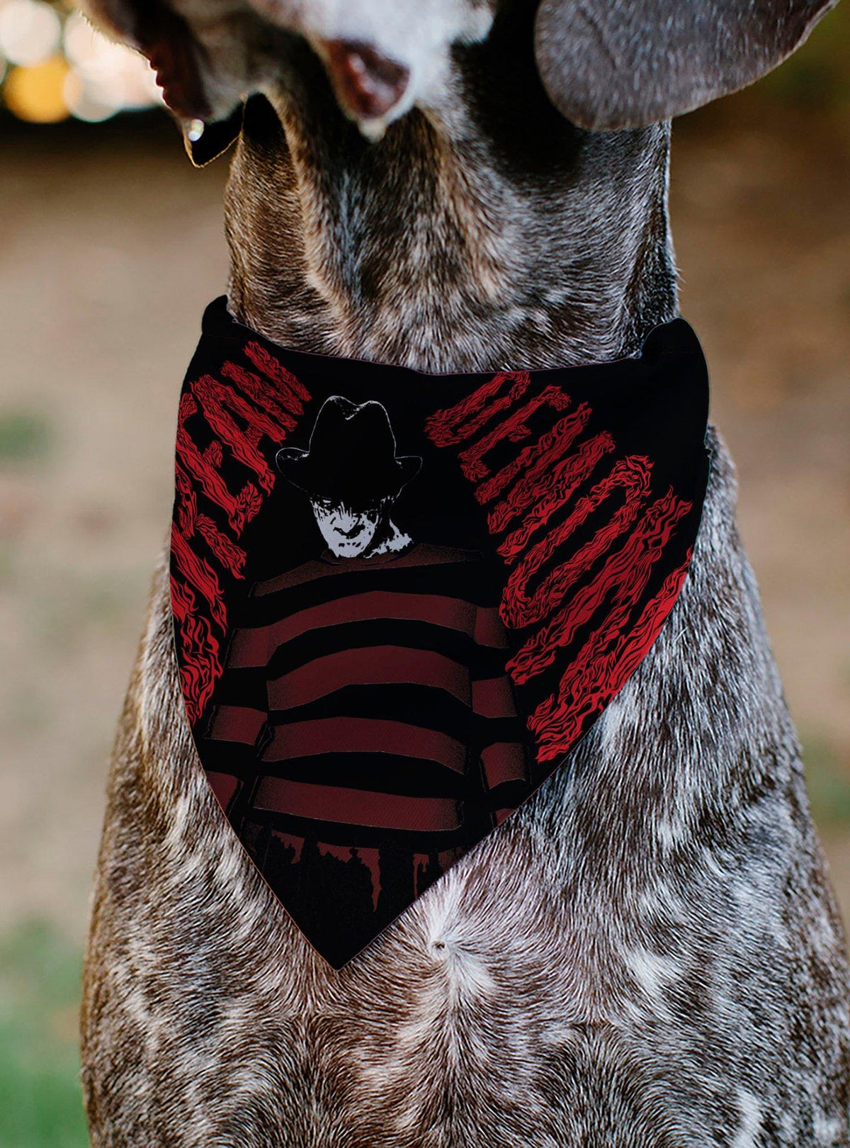Bandana para mascota Freddy de A Nightmare on Elm Street