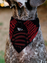 Bandana para mascota Freddy de A Nightmare on Elm Street