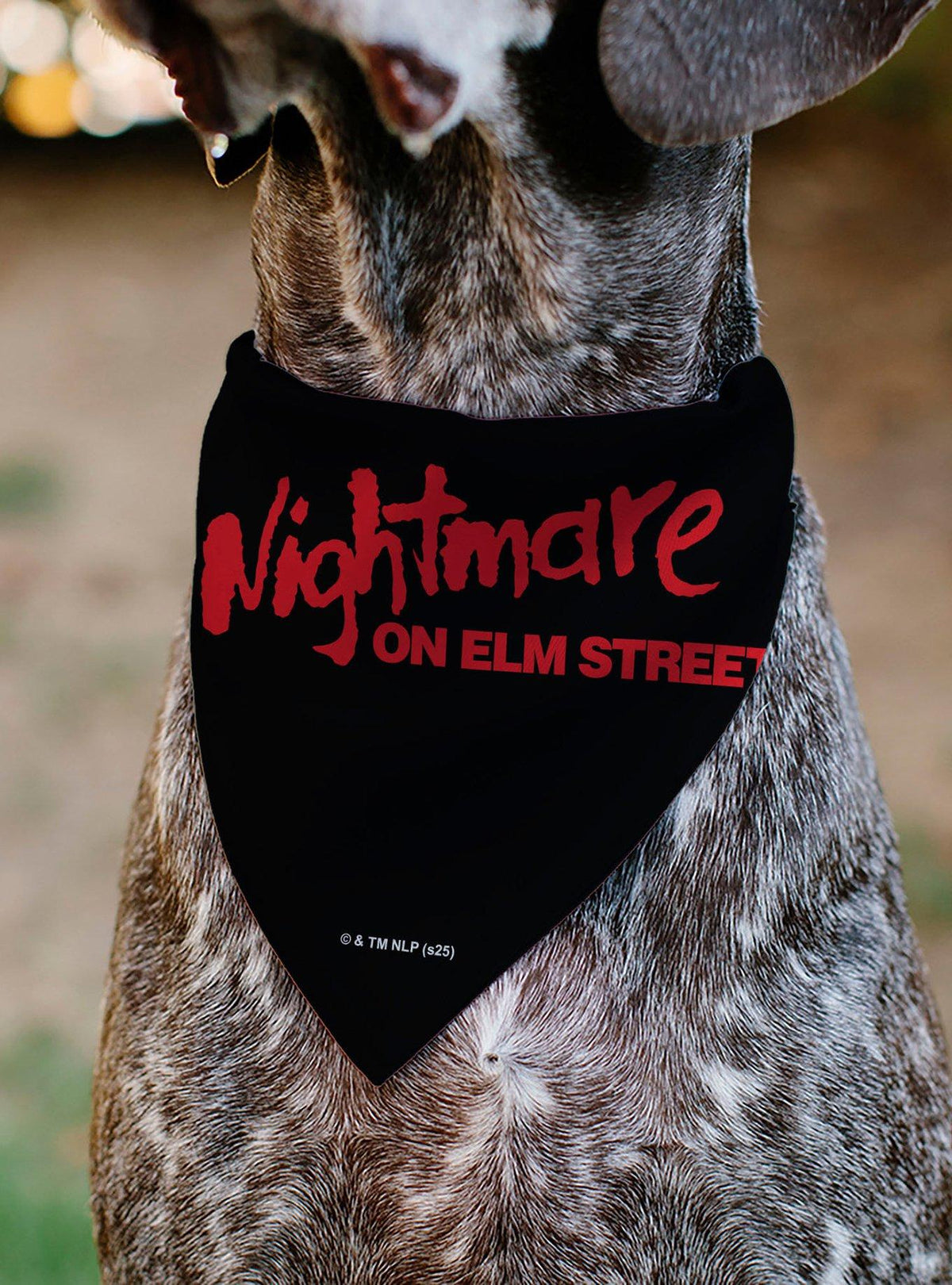 Bandana para mascota Freddy de A Nightmare on Elm Street