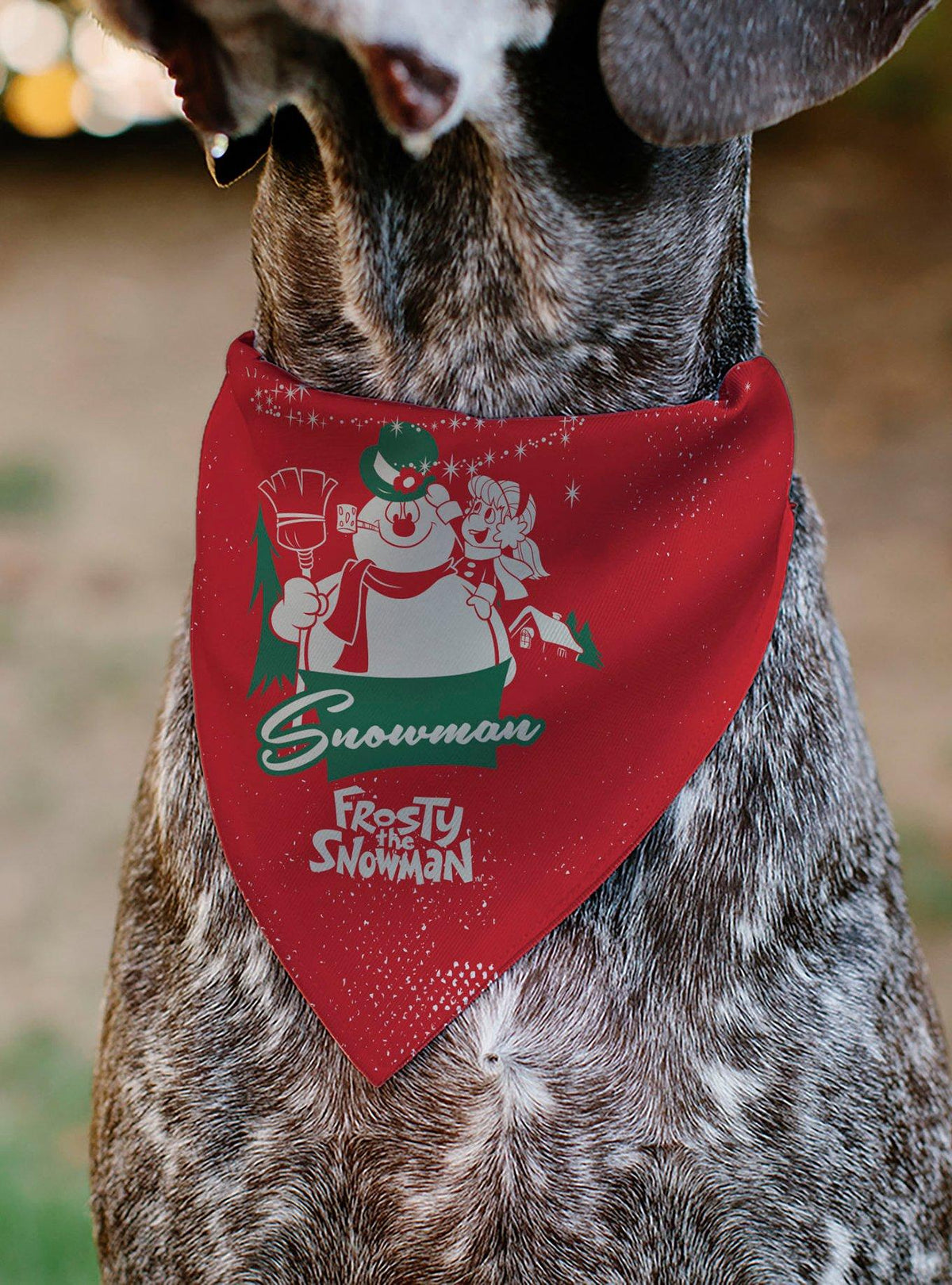 Bandana para mascota Frosty the Snowman con Karen