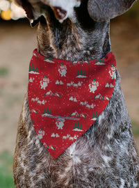 Bandana para mascota Frosty the Snowman con Karen